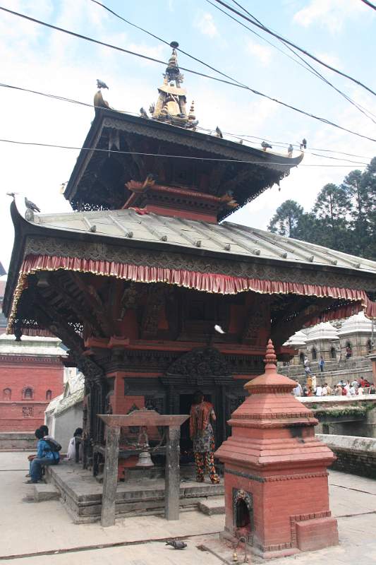 India & Nepal 2011 - 0247